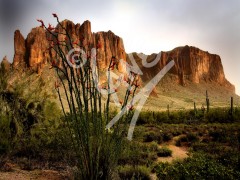 ARIZONA Lost Dutchman State Park